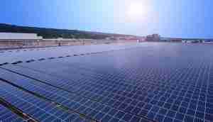 中美硅晶与欧陆注册光电携手战略合作